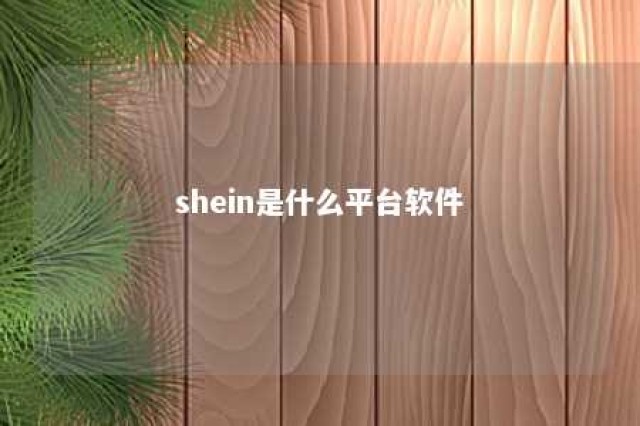 shein是什么平台软件 shein 平台